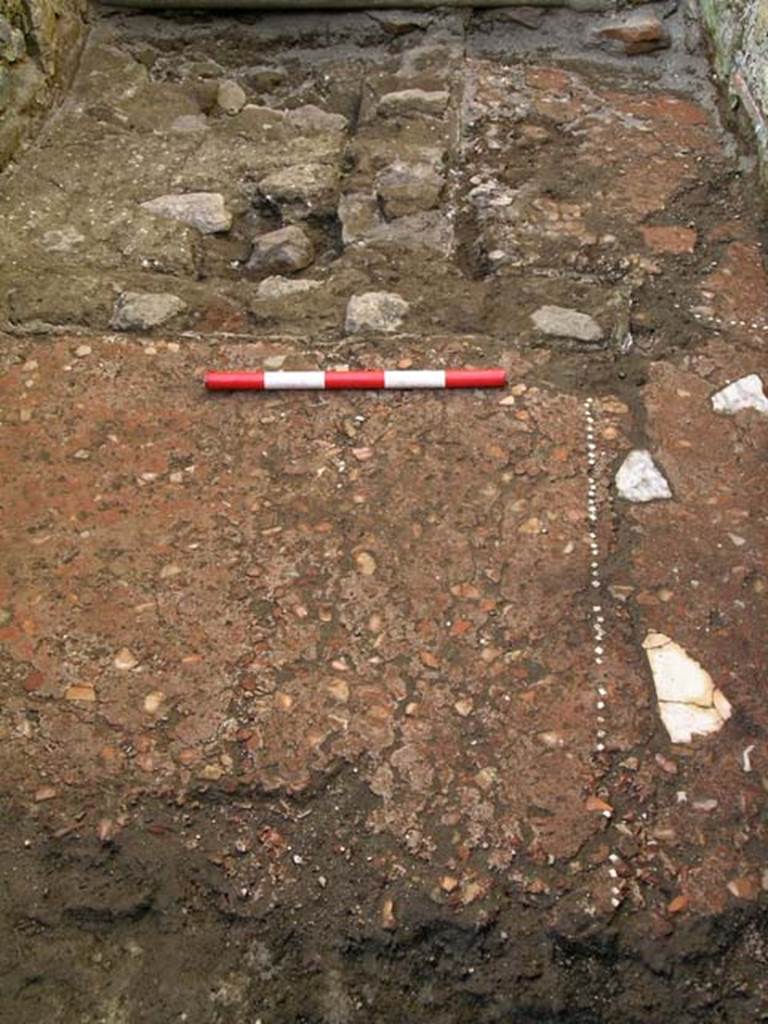 VI.25, Herculaneum. May 2004. Rear room, detail of flooring, looking north.
Photo courtesy of Nicolas Monteix.
